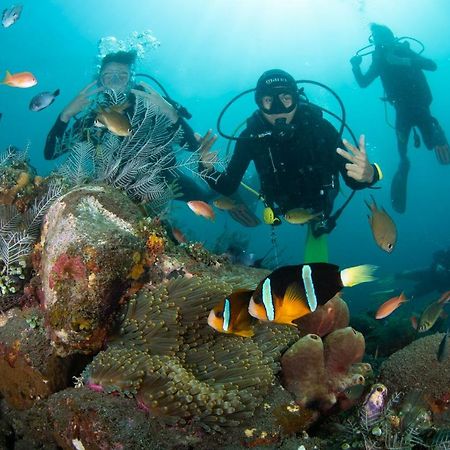 Bali Dive Resort Amed Esterno foto
